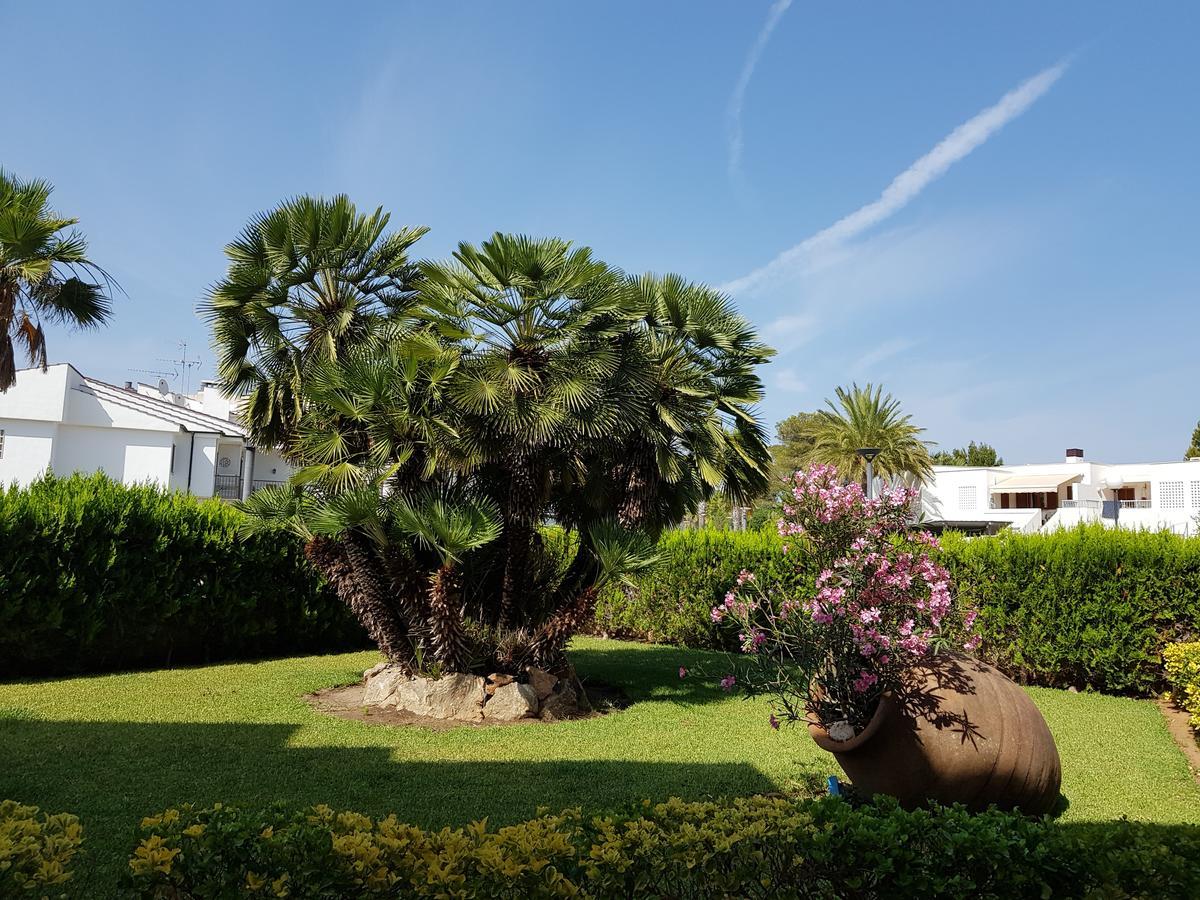 Venecia Apartments Port de Alcudia  Exterior foto